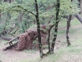 Terni Villalago foto lettore (1)