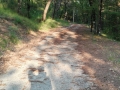 Terni Villalago foto lettore (2)