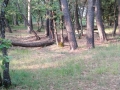 Terni Villalago foto lettore (3)