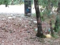 Terni Villalago foto lettore (4)