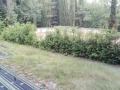 Terni Villalago foto lettore (8)