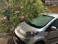Ospedale Terni nubifragio pioggia albero caduto auto - 30 agosto 2016
