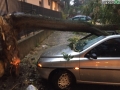 Terni-nubifragio-7