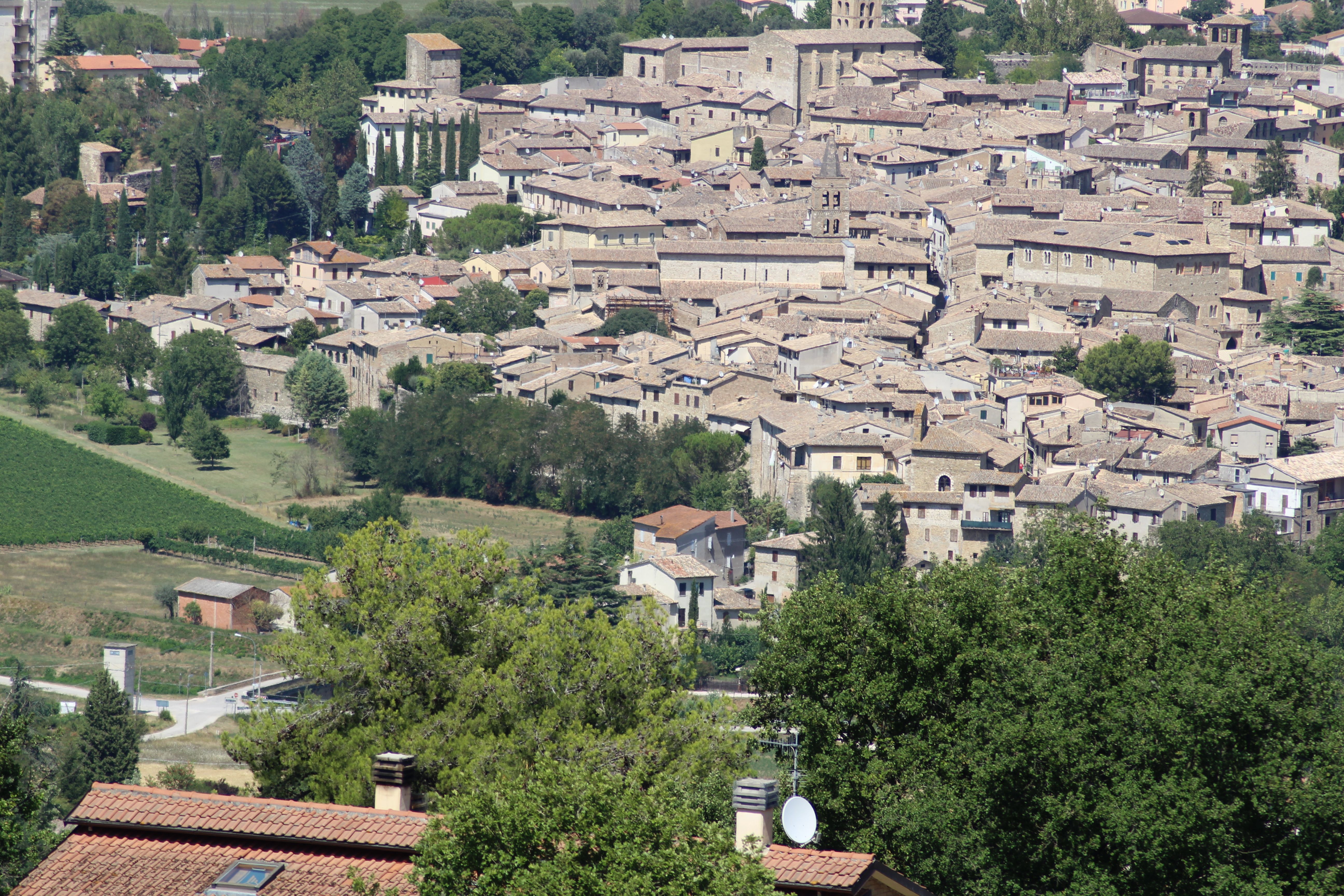 bevagna, teverone, timia, fiume, inquinamento, pesci morti, alghe, depuratore, foligno, clitunno,