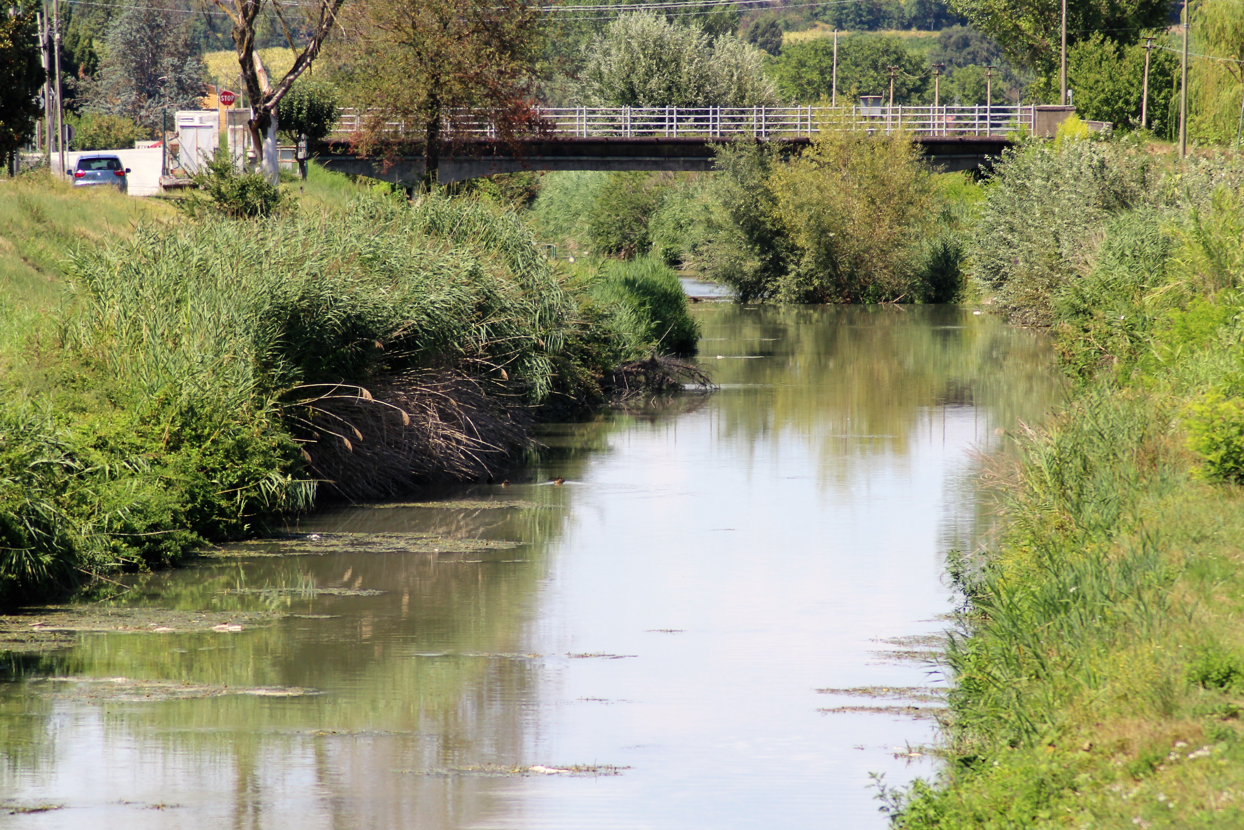 bevagna, teverone, timia, fiume, inquinamento, pesci morti, alghe, depuratore, foligno, clitunno,