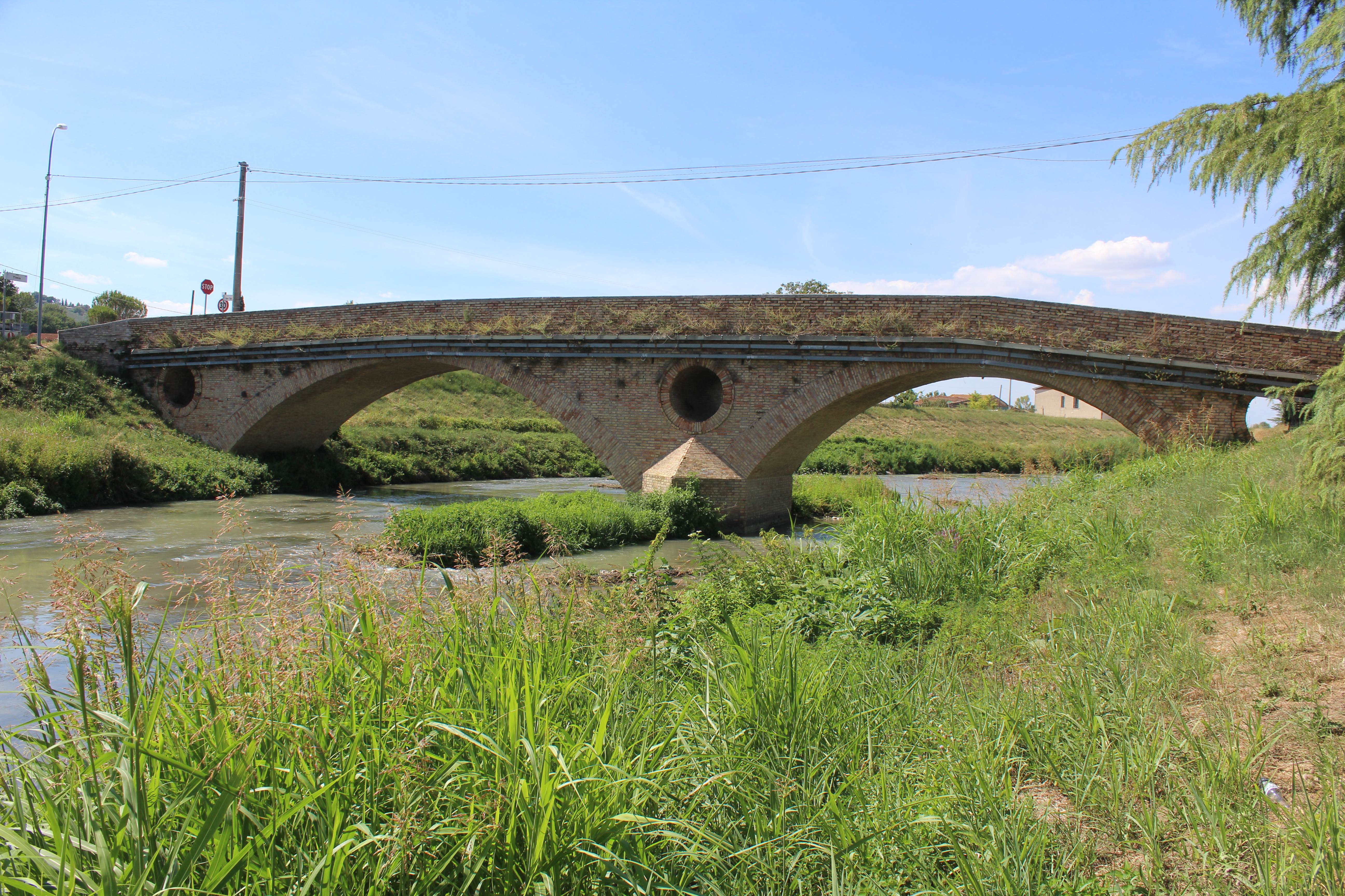 bevagna, teverone, timia, fiume, inquinamento, pesci morti, alghe, depuratore, foligno, clitunno,