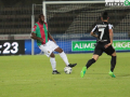 Ascoli-Ternana-Mirimao-19