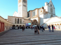 piazza basilica Celebrazioni della Festa di San Francesco ad Assisi