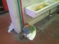 Terni Risorse3