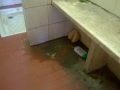 Terni Risorse6