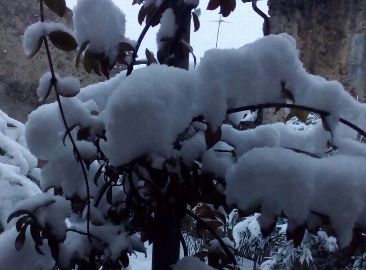 Burian maltempo neve Terni Perugia Umbria Orvieto - 26 febbraio 2018 (7)