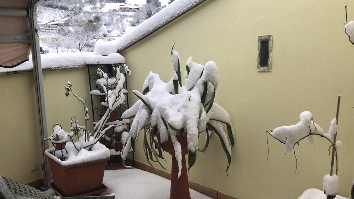 Umbria Burian neve maltempo - 26 febbraio 2018 (10)