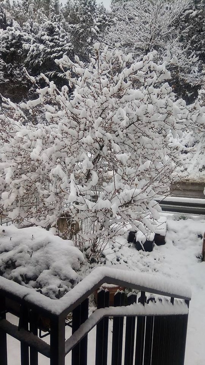 Umbria Burian neve maltempo - 26 febbraio 2018 (12)