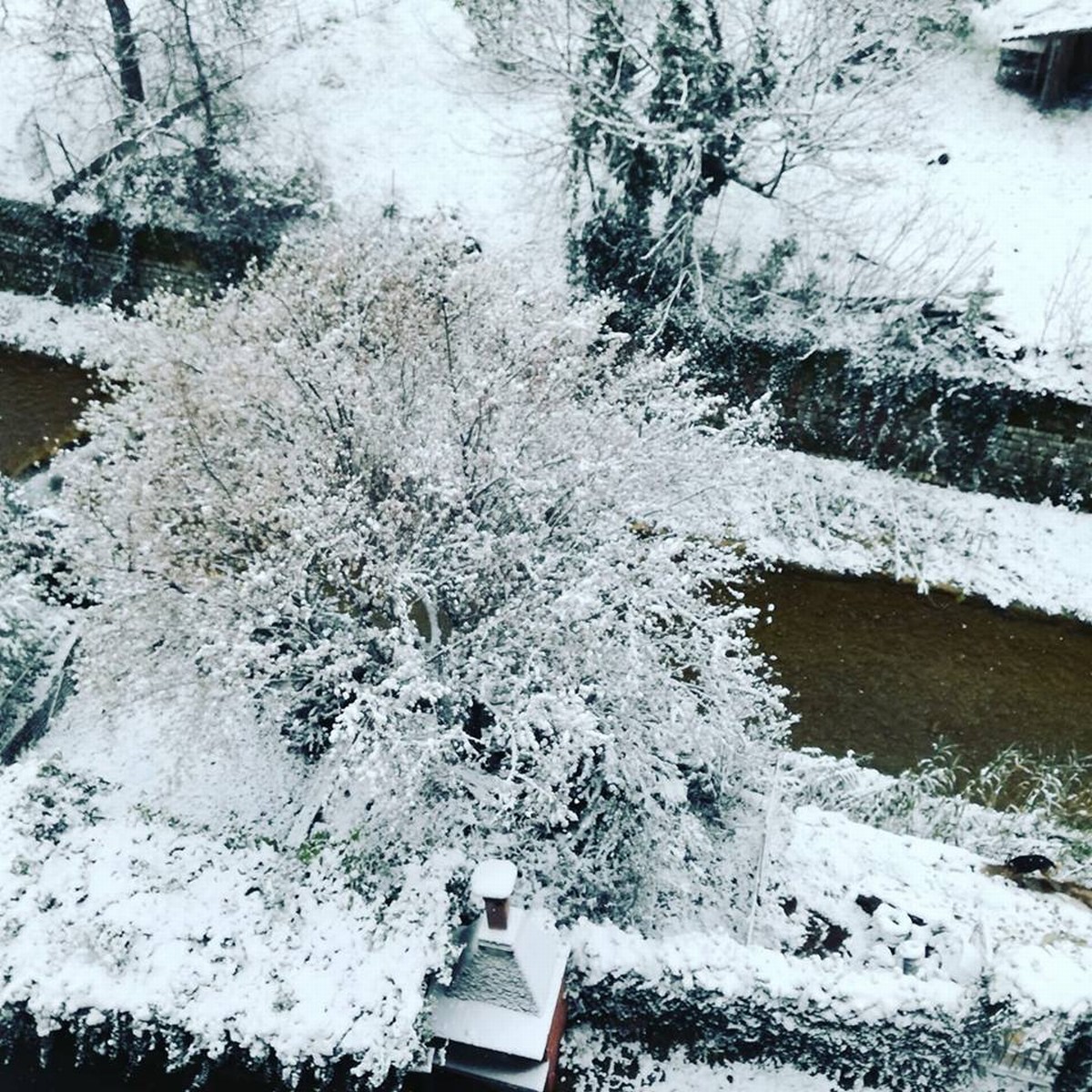 Umbria Burian neve maltempo - 26 febbraio 2018 (3)