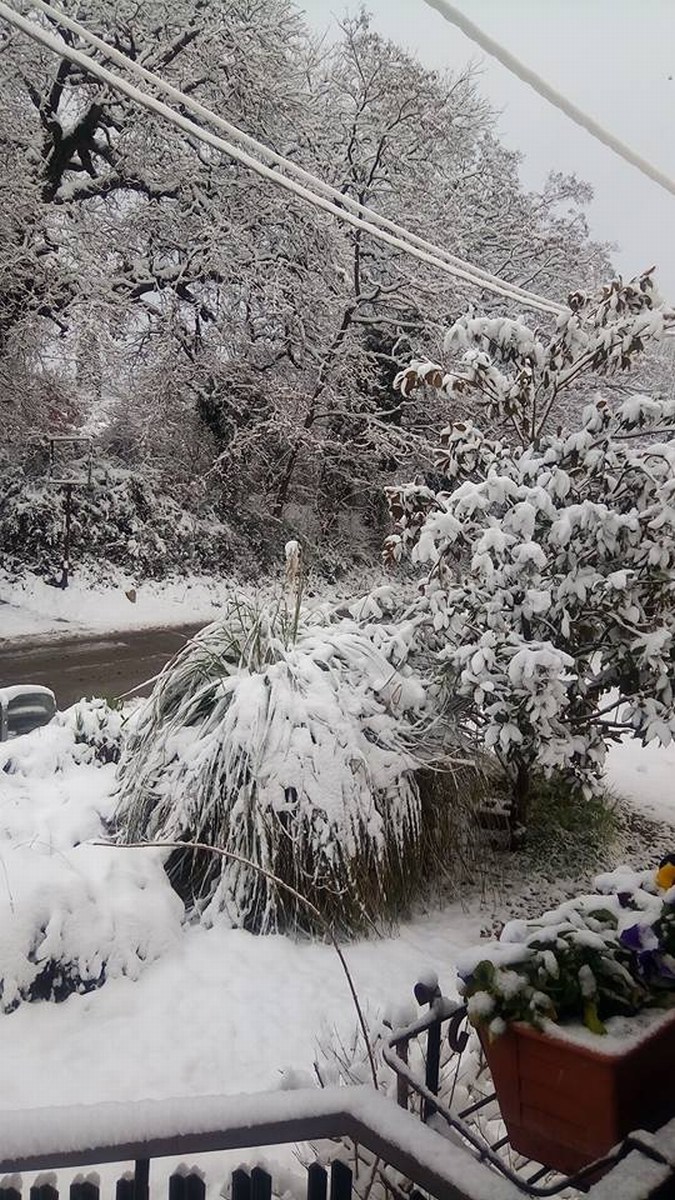 Umbria Burian neve maltempo - 26 febbraio 2018 (6)