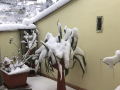 Umbria Burian neve maltempo - 26 febbraio 2018 (10)