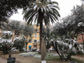 Umbria Burian neve maltempo - 26 febbraio 2018 (15)