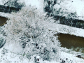 Umbria Burian neve maltempo - 26 febbraio 2018 (3)