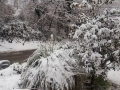 Umbria Burian neve maltempo - 26 febbraio 2018 (6)