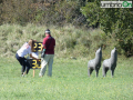 mondiale 3d tiro con l'arco Carsulae (8)