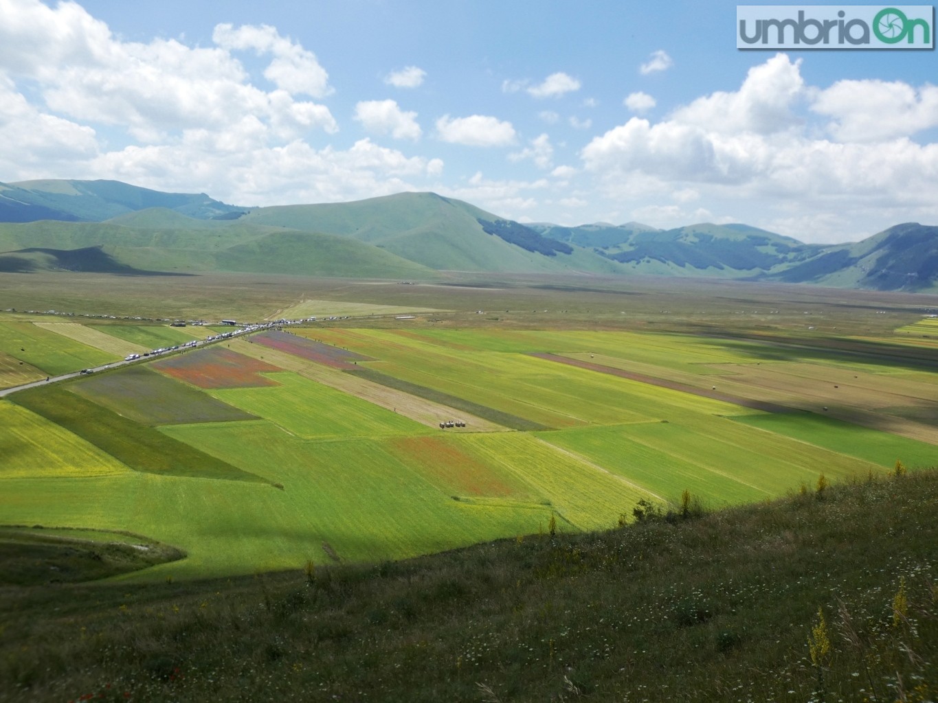 Castelluccio-fiorita-fioritura2-45454-FILEminimizer