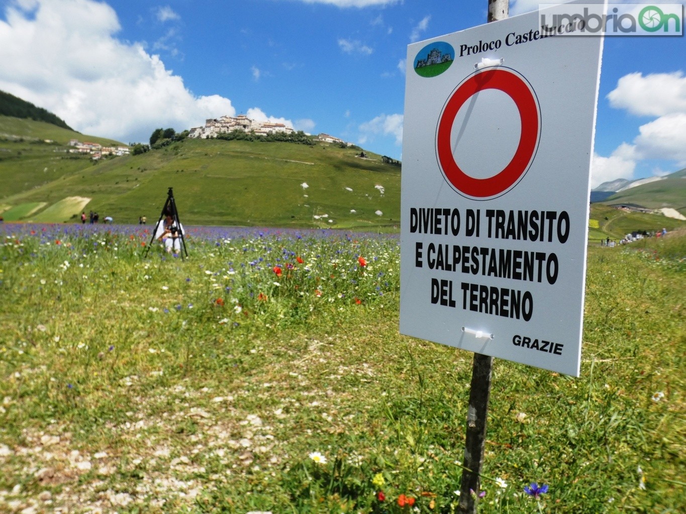 Castelluccio-fiorita-fioritura2-pro-loco-divieto-calpestare-FILEminimizer