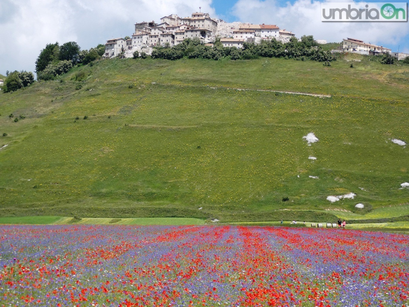 Castelluccio-fiorita-fioritura25-FILEminimizer