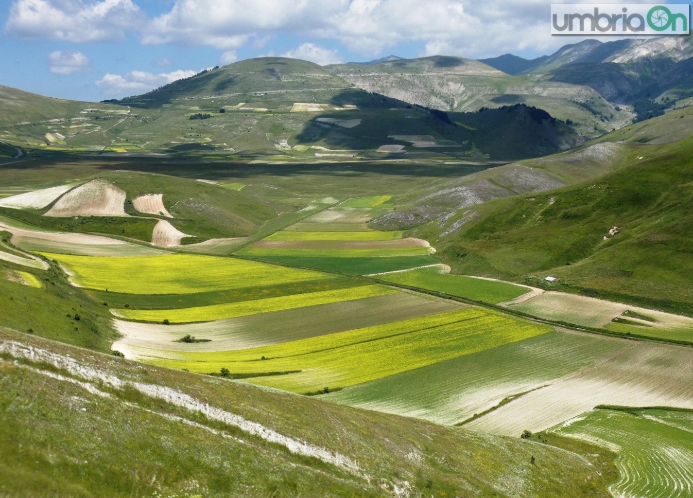 Castelluccio-fiorita-fioritura2676767-FILEminimizer