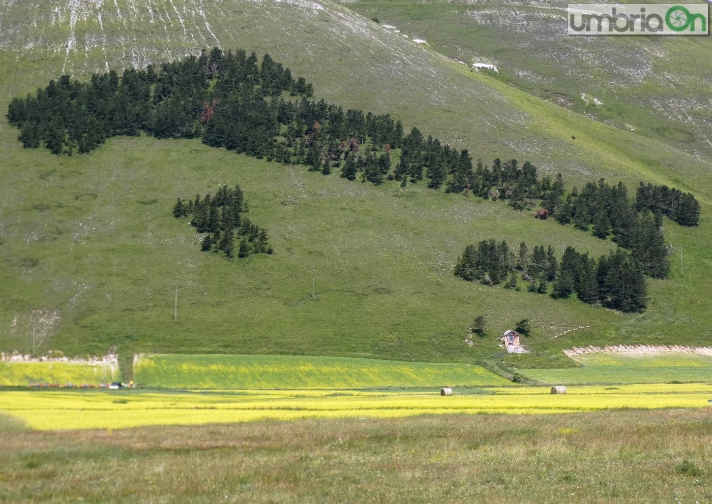 Castelluccio-fiorita-fioritura27667-FILEminimizer