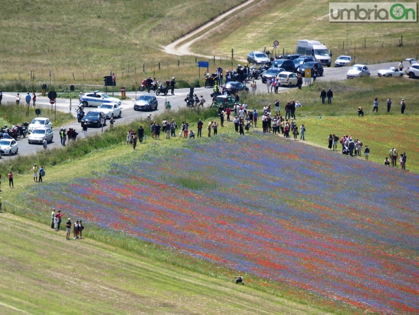 Fiorita-Castelluccio-fioritura-FILEminimizer