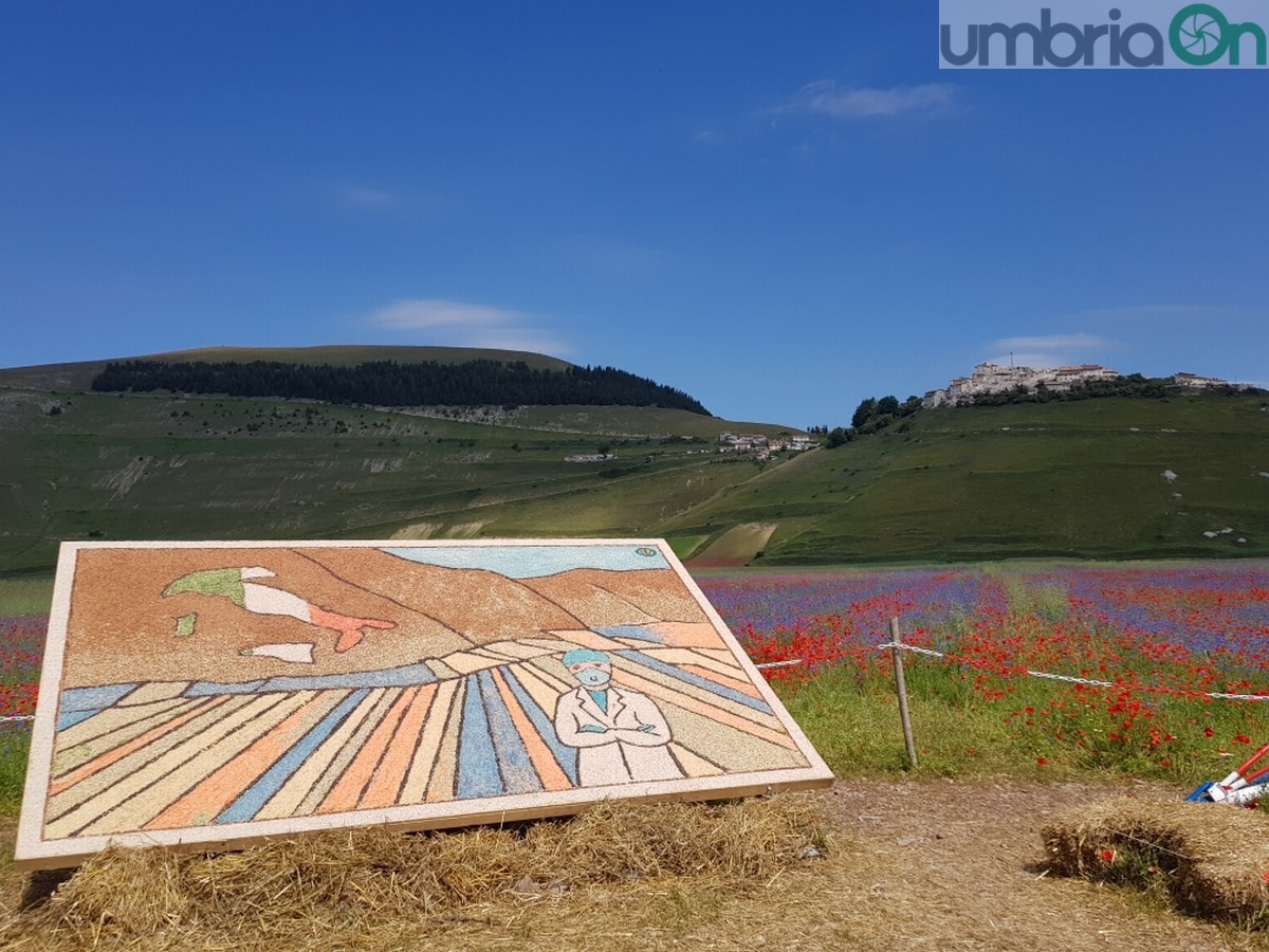 Castelluccio di Norcia, fioritura e turismo - 3 luglio 2020 (1)