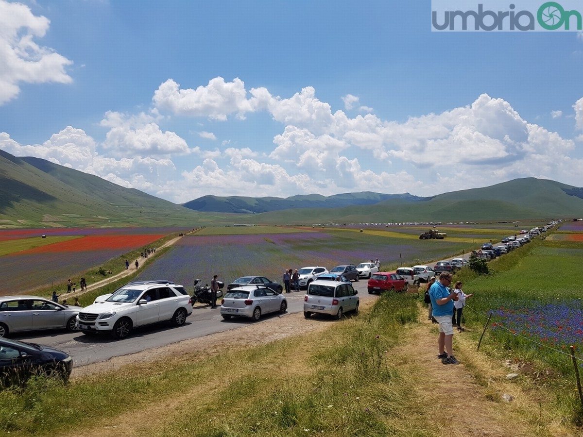 Castelluccio di Norcia, fioritura e turismo - 3 luglio 2020 (8)