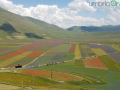 Castelluccio di Norcia, fioritura e turismo - 3 luglio 2020 (14)