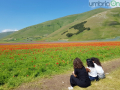 Castelluccio di Norcia, fioritura e turismo - 3 luglio 2020 (5)