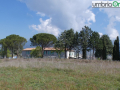 Colleluna-1