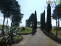 Colleluna-4545454