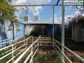 Mivida-collelunaddfdf-ingresso