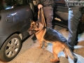 Controlli anti droga e anti alcol, polizia Stradale Terni e guardia di finanza - 3 aprile 2016 (19)