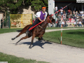 narni corsa all'anello 2018 (alberto mirimao) (47)