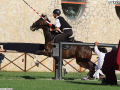 narni corsa all'anello 2018 (alberto mirimao) (49)