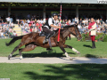 narni corsa all'anello 2018 (alberto mirimao) (51)