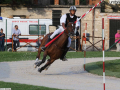 narni corsa all'anello 2018 (alberto mirimao) (63)