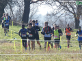 Cross Carsuale campestre corsa P1480958