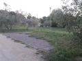 Terni-Degrado20