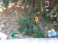 Terni-Degrado28