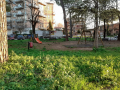 Degrado verde parco via Liutprando Terni - 11 febbraio 2020 (1)