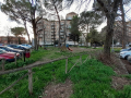 Degrado verde parco via Liutprando Terni - 11 febbraio 2020 (11)