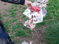 Degrado verde parco via Liutprando Terni - 11 febbraio 2020 (7)