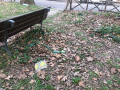 Degrado Città Giardino - febbraio 2020 (1)