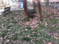 Degrado Città Giardino - febbraio 2020 (10)
